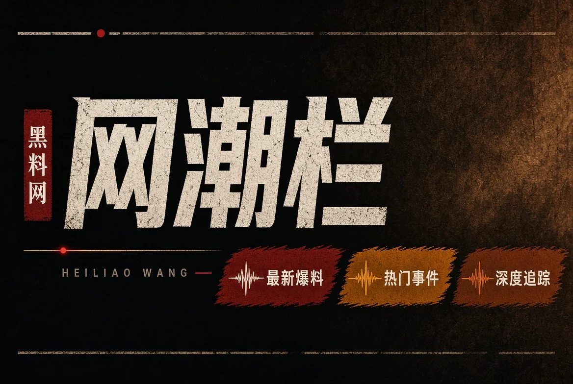 网潮栏内容